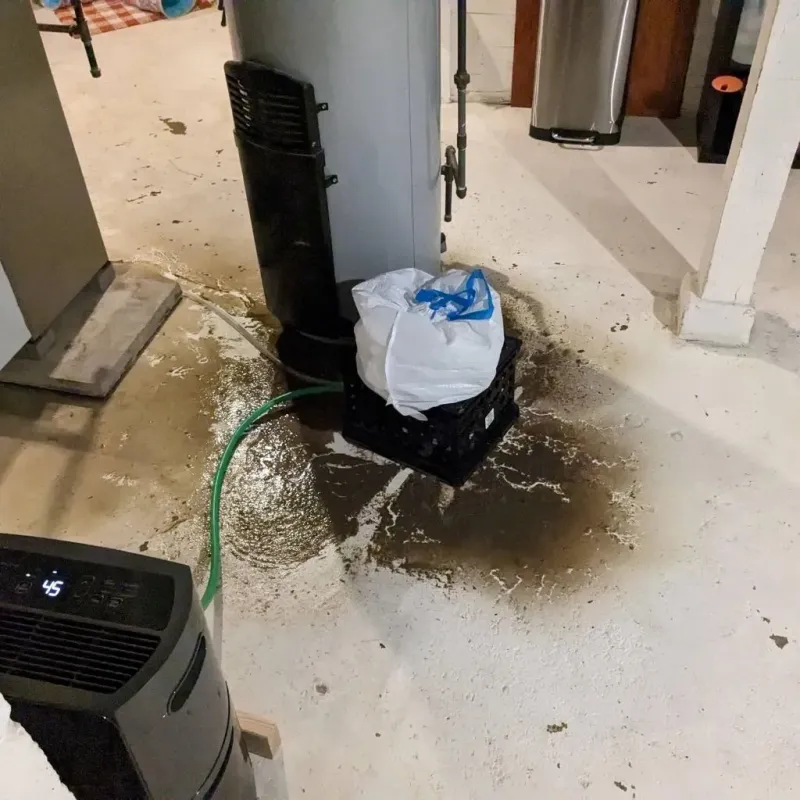 Sewage Backup Cleanup Service in Fall River, MA